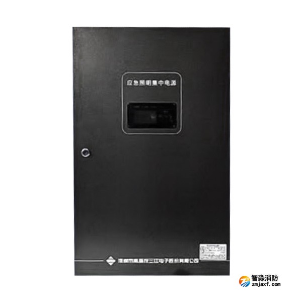 常德海灣SJ-D-0.6KVA/P601AC應(yīng)急照明集中電源 4回路 壁掛式